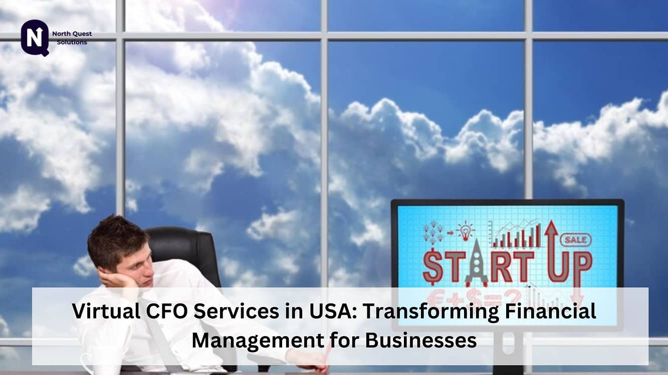 Virtual CFO services in USA