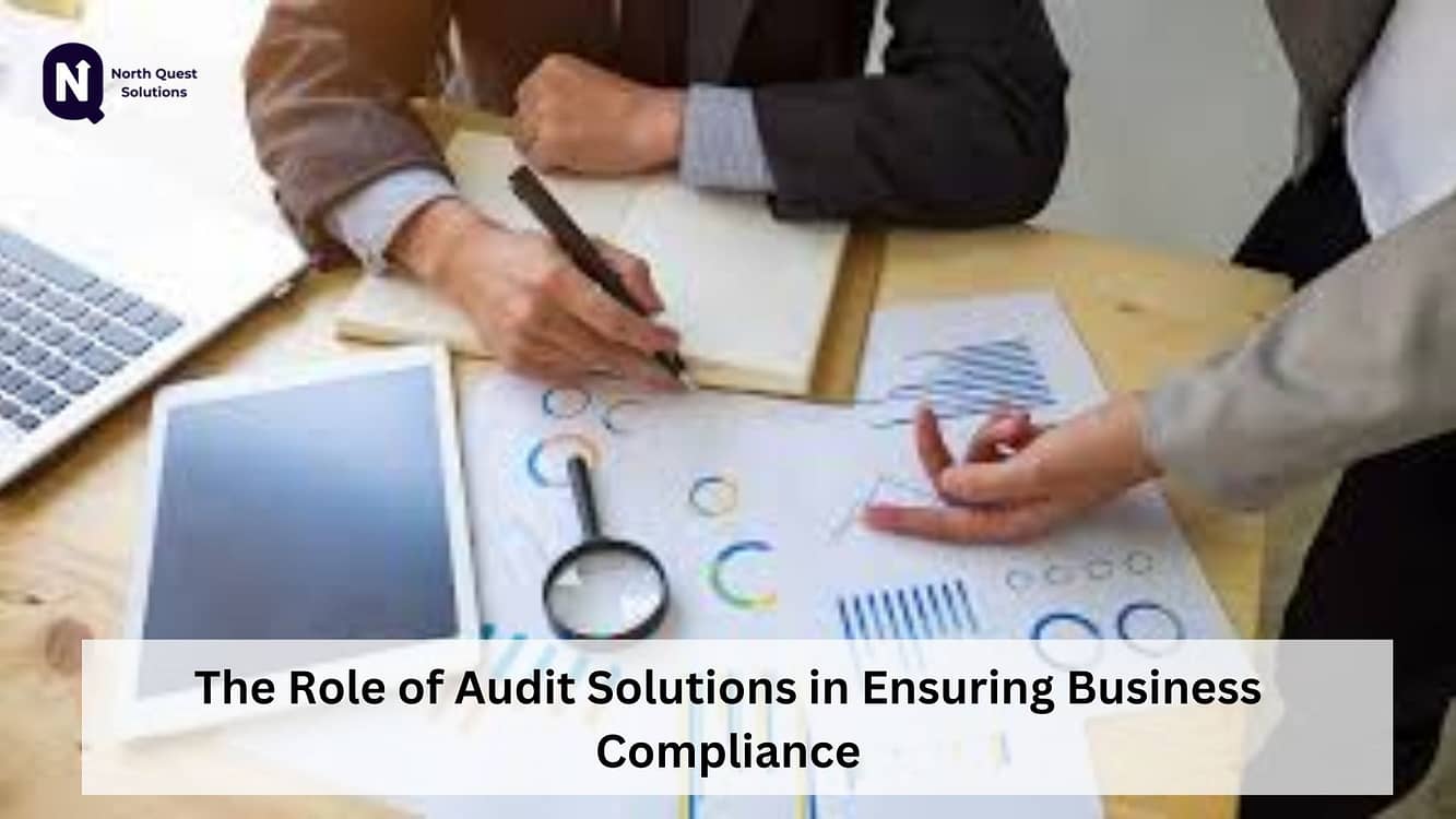 Role of Audit Solutions